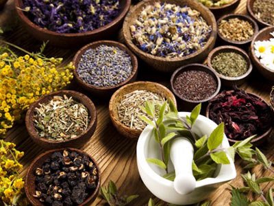 Assorted dried botanicals and herbs prepared for extraction