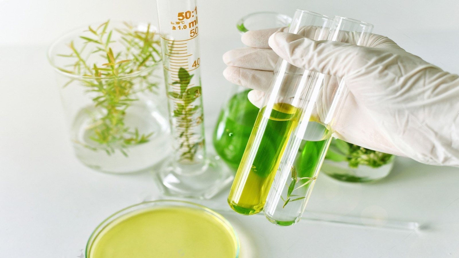 Botanical extracts under analysis in laboratory test tubes